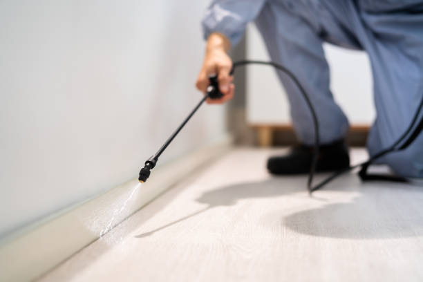 Rodent Entry Point Assessment in Whittier