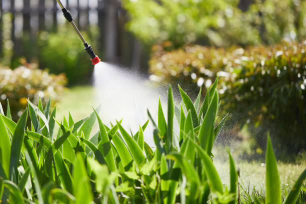 Tamper-Resistant Bait Stations for Rodents in Whittier