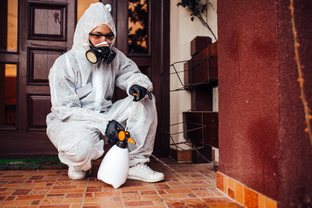 Attic and Crawl Space Rodent Treatment in Whittier
